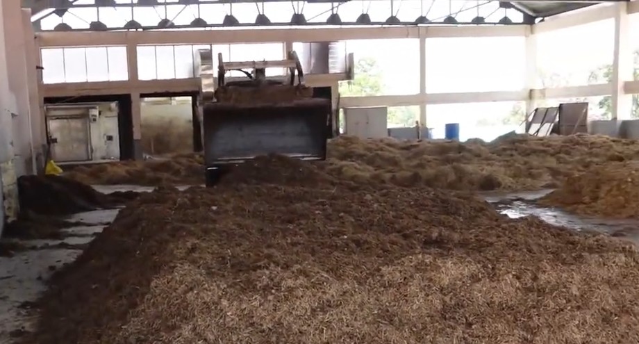 Compost marking for Mushroom Cultivation