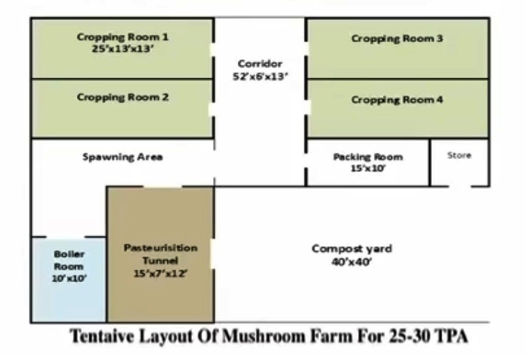 Layout of Mushroom Unit